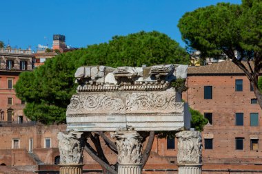 Rome, Italy - October 8, 2020: Forum of Caesar (Foro di Cesare), part of Forum Roman, view of the ruins of Temple of Venus Genetrix