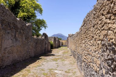 M.S. 79 'da Vesuvius volkanının patlaması sonucu yok olan antik bir şehrin kalıntıları. Şehir sokaklarından birinin manzarası, arka planda Vezüv Dağı, Pompei, Napoli, İtalya