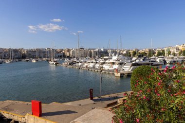 Atina, Pire, Yunanistan - 18 Ekim 2022: Güneşli bir günde demirlemiş yatlarla Zea Körfezi 'ndeki (Pasnizani) liman manzarası