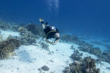 Mercan resifinin üzerinde tek bir dalgıç, hava kabarcıkları, sualtı pelerini.