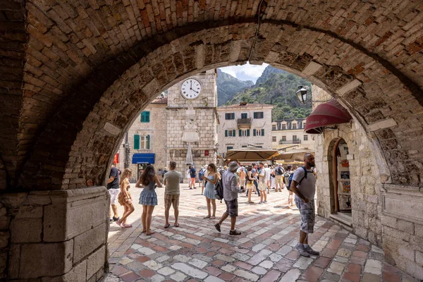 Kotor Montenegro Juni 2023 Arms Square Mit Mittelalterlichem Uhrturm Blick Stockfoto