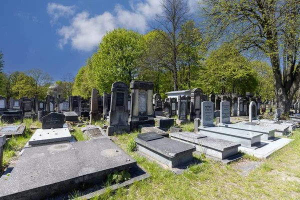 Lodz Poland May 2023 Lodz Jewish Cemetery Tombstones Mass Graves — Stock Photo, Image