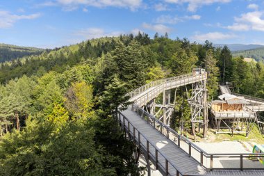 Krynica-Zdroj, Slotwiny, Beskid Dağları, Polonya - 1 Eylül 2022: Slotwiny Arena kayak istasyonunun tepesindeki ağaç tepelerinde yürüyüş yolu