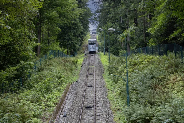 Krynica-Zdroj, Polonya - 31 Ağustos 2022: Gora Parkowa (Parkowa Dağı) Füniküler, Krinica 'daki Beskids dağının zirvesi