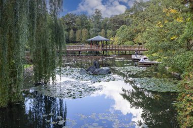 Wroclaw, Polonya - 30 Eylül 2021: Szczytnicki Park 'taki Japon Bahçesi, egzotik bitkiler. Japon bahçesi 1909-1913 yılları arasında kuruldu.