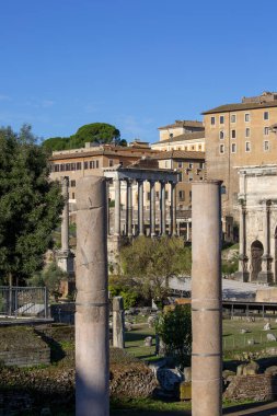 Roma Forumu, antik şehrin kalıntıları, Roma, İtalya. Barış Tapınağı Kalıntılarıyla Vespasian Forumu manzarası. Uzak mesafede Satürn Tapınağı