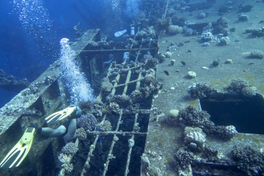 Safaga, Kızıldeniz, Mısır, 11 Kasım 2023: Safaga yakınlarındaki Kızıl Deniz 'in dibinde yatan Salem Express yolcu feribotunun enkazını araştıran dalgıçlar grubu