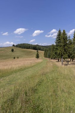 Pieniny Dağları 'nın zirvesi boyunca uzanan turizm rotası, mavi gökyüzüne karşı manzaralı çayırlar manzarası, Polonya