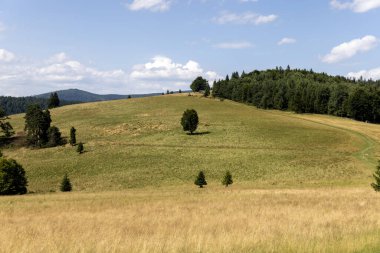 Pieniny Dağları 'nın zirvesi boyunca uzanan turizm rotası, mavi gökyüzüne karşı manzaralı çayırlar manzarası, Polonya