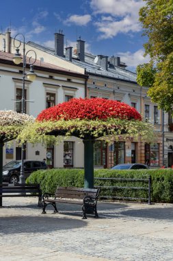 Nowy Sacz; Polonya - 30 Ağustos 2022: Dekoratif renkli çiçek düzenlemeleriyle güneşli bir günde Pazar Meydanı manzarası.