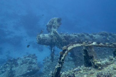 Safaga yakınlarındaki Kızıl Deniz 'in dibinde yatan Salem Express feribotunun enkazı. Mercan resifleriyle kaplanmış gemi, sualtı manzarası.