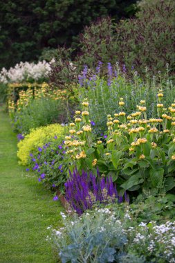 Botanik bahçesinde renkli bir çiçek aranjmanı, çeşitli bitki türleri