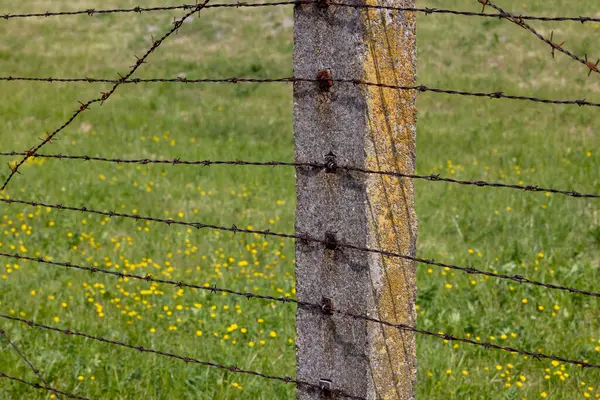 Stock image Majdanek; Lublin; Poland - May 24, 2022: Majdanek concentration and extermination camp ( Konzentrationslager Lublin), barbed wire fence. It was a Nazi camp built by the SS 