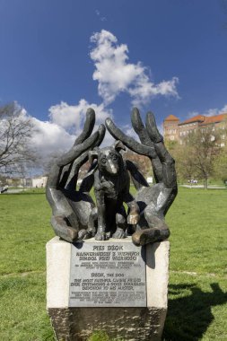 Krakow, Polonya - 3 Nisan 2024: Dzok Anıtı 2001 yılında Bronislaw Chromy tarafından oluşturuldu. Heykel, köpek sadakatinin sembolüdür. Köpek, Roundabout Grunwaldzki 'deki sahibini bir yıl bekledi.