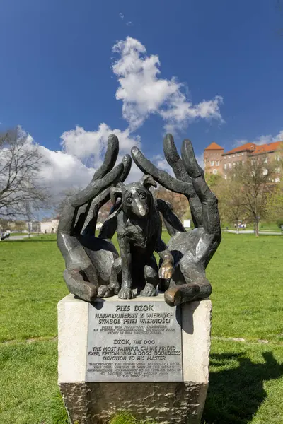 stock image Krakow, Poland - April 3, 2024: Dzok Monument created by Bronislaw Chromy in 2001. Statue is symbol of canine fidelity. The dog waited a year for its owner at Roundabout Grunwaldzki