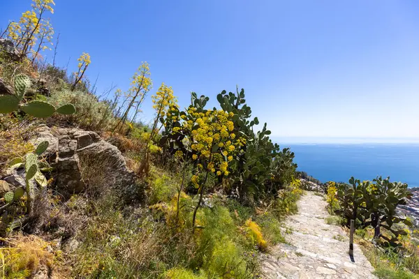 stock image Historic path of Saracens (Sentiero dei Saraceni) in mountains between Taormina and Castelmola, along the slope of Monte Tauro, Sicily; Italy