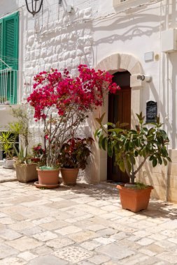 Dar, taş sokak tipik Akdeniz ülkeleri, Martina Franca, İtalya, Puglia. Çiçek saksıları ve güzel çiçekli begonviller.