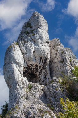 Polonya 'nın güneyindeki Jurassic Highland' da yer alan coğrafi makro kayaların resimli görüntüsü