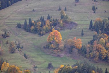 Pieniny Dağları 'ndaki sonbahar manzarası, ağaçlardaki renkli yapraklar, Szczawnica, Polonya. Altın sonbahar cila zamanı.