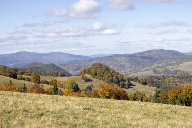 Pieniny Dağları 'ndaki sonbahar manzarası, ağaçlardaki renkli yapraklar, Szczawnica, Polonya. Altın sonbahar cila zamanı.