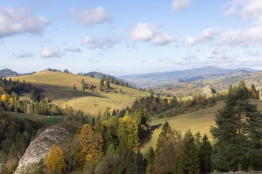 Pieniny Dağları 'ndaki sonbahar manzarası, ağaçlardaki renkli yapraklar, Szczawnica, Polonya. Altın sonbahar cila zamanı.