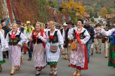 Szczawnica, Polonya - 12 Ekim 2024: Koyunların sonbahar takibi (redyk), koyun sürüleriyle birlikte Pieniny 'deki otlaklarda otlayan çobanların dönüşü. Bölgesel kostümlü dağlılar geçidi