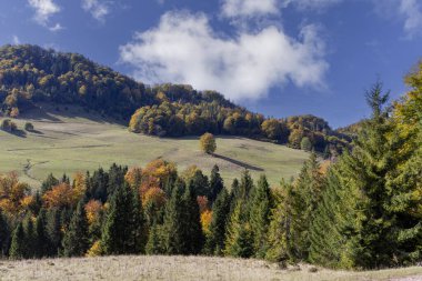 Pieniny Dağları 'ndaki sonbahar manzarası, ağaçlardaki renkli yapraklar, Szczawnica, Polonya. Altın sonbahar cila zamanı.