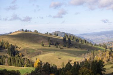 Pieniny Dağları 'ndaki sonbahar manzarası, ağaçlardaki renkli yapraklar, Szczawnica, Polonya. Altın sonbahar cila zamanı.