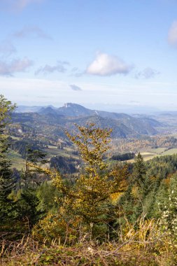 Panoramic view of the autumn landscape in the Pieniny Mountains, colorful leaves on the trees, Szczawnica, Poland. Three Crowns Massif (Trzy Korony) in a distance clipart