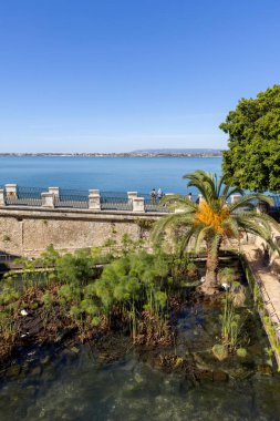 Syracuse, Sicilya, İtalya - 29 Nisan 2023: Ortygia adasında Arethusa Çeşmesi, Yunan mitolojisine göre nemli Arethusa 'nın saklandığı yerde doğal bir tatlı su kaynağı.