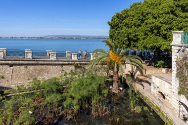 Syracuse, Sicilya, İtalya - 29 Nisan 2023: Ortygia adasında Arethusa Çeşmesi, Yunan mitolojisine göre nemli Arethusa 'nın saklandığı yerde doğal bir tatlı su kaynağı.