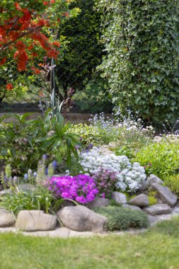 Renkli bahar kayaları bahçesi, renkli çiçeklerle bezenmiş resim gibi kompozisyon.