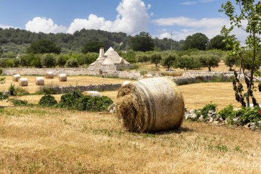 Hasattan sonra tarlanın manzarası, büyük saman balyaları ve trullo kulübesi, Itria Vadisi (Valle d 'Itria), İtalya, Apulia. Puglia bölgesinin tipik kırsal manzarası
