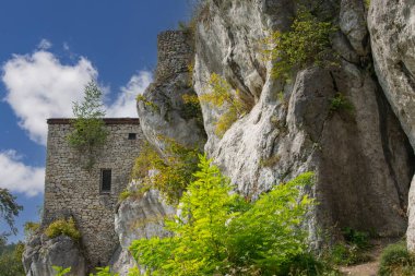 Morsko, Poland - September 16, 2020 : Ruins of 14th century  knight's romanesque Bakowiec Castle located on Polish Jurassic Highland (Krakow-Czestochowa Upland), Eagles' Nests Trail clipart