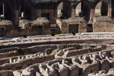 Roma, İtalya - 8 Ekim 2020: Kolezyum, 1. yüzyıl antikası, oval amfitiyatro şehrin merkezinde, New7Wonders of the World