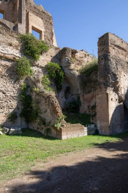Palatine Hill, birkaç önemli antik binanın kalıntılarının manzarası. Palatine Tepesi, Roma 'nın yedi tepesinin en merkezidir ve Roma, İtalya' nın en eski bölgelerinden biridir.