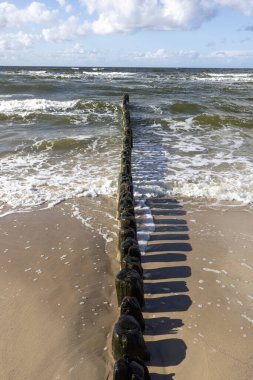 Baltık Denizi, Miedzyzdroje, Wolin Adası, Polonya 'nın köpüren sularında yeşil yosunlu ahşap kırma suyu