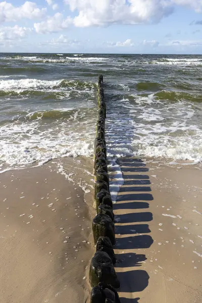 Baltık Denizi, Miedzyzdroje, Wolin Adası, Polonya 'nın köpüren sularında yeşil yosunlu ahşap kırma suyu
