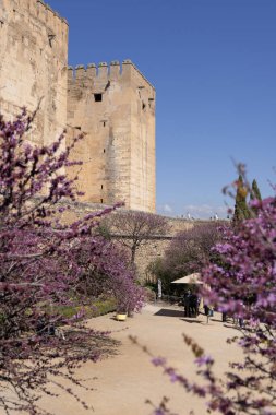 Granada, İspanya, Endülüs - 28 Mart 2025: Sarnıçların Meydanı (Plaza de los Aljibes) 13. yüzyıl Alcazaba kalesinin önünde