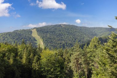 Jaworzyna Krynicka 'nın ağaç tepelerindeki Slotwiny Arena kayak istasyonunun tepesindeki tahta gözlem kulesinden görünüşü, Krynica Zdroj, Beskid Dağları, Slotwiny, Polonya 