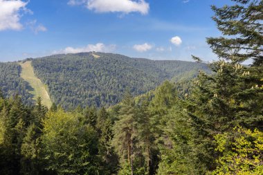 Jaworzyna Krynicka 'nın ağaç tepelerindeki Slotwiny Arena kayak istasyonunun tepesindeki tahta gözlem kulesinden görünüşü, Krynica Zdroj, Beskid Dağları, Slotwiny, Polonya 