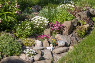 Çiçekler açan renkli bahar kayaları bahçesi ve dekoratif taşlar, doğal bahçe ve manzara tasarımı için canlı çiçek manzarası.