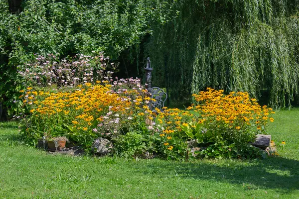 Güzel renkli yaz bahçesi, Rudbeckia çiçekleri ve Japon şakayığı, doğal manzara.