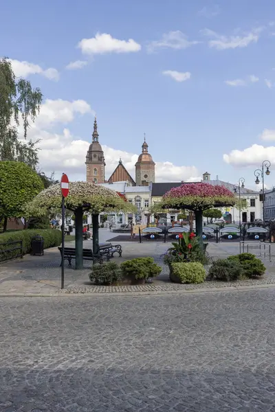 Nowy Sacz, Polonya - 30 Ağustos 2022: Güneşli bir günde dekoratif renkli çiçek düzenlemeleriyle Pazar Meydanı manzarası. Uzakta St. Malgorzata Üniversite Bazilikası 'nın kuleleri