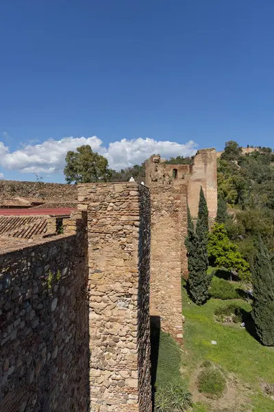 Malaga, İspanya, Endülüs - 26 Mart 2025: Alcazaba 'yı çevreleyen tuğla savunma duvarı, 11. yüzyıl Müslüman saray tahkimatı. Dağın tepesindeki Gibralfaro kalesinin manzarası