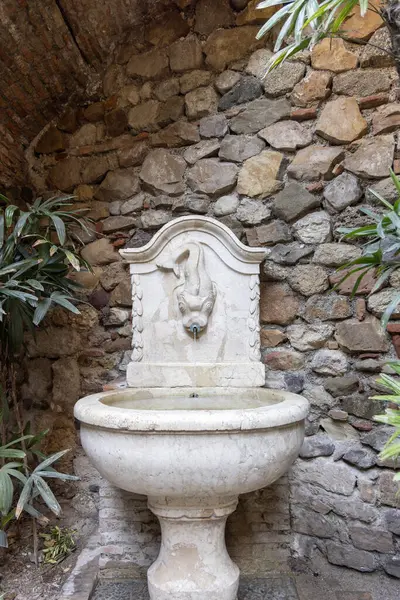 Malaga, İspanya, Endülüs - 26 Mart 2025: Alcazaba 'daki Zindan Avlusunda Balık Çeşmesi, 11. yüzyıl Müslüman saray tahkimatı.