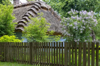 Lublin, Polonya - 23 Mayıs 2022 Lublin Açık Hava Köyü Müzesi 'ndeki eski sazdan kulübe. Eski Lublin Eyaletinden mimari ve etnografik koleksiyon eserleri