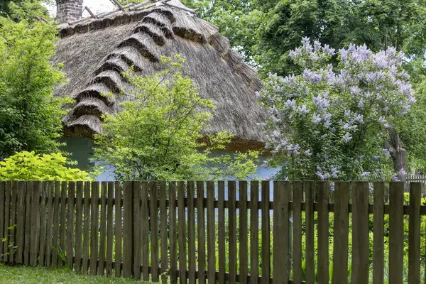 Lublin, Polonya - 23 Mayıs 2022 Lublin Açık Hava Köyü Müzesi 'ndeki eski sazdan kulübe. Eski Lublin Eyaletinden mimari ve etnografik koleksiyon eserleri