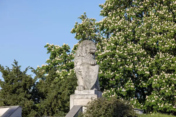 Lublin, Polonya - 23 Mayıs 2022 Lublin Kalesi 'nin önündeki taş aslan heykeli. Aslan figürü, Lviv 'deki Defenders Mezarlığı' ndaki kalıba göre yeniden yaratıldı.