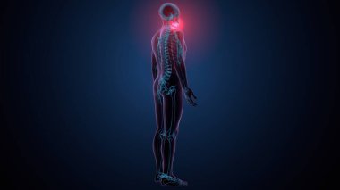 Tiroid hormonları. 3d illüstrasyon